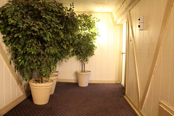 IMG 3985
