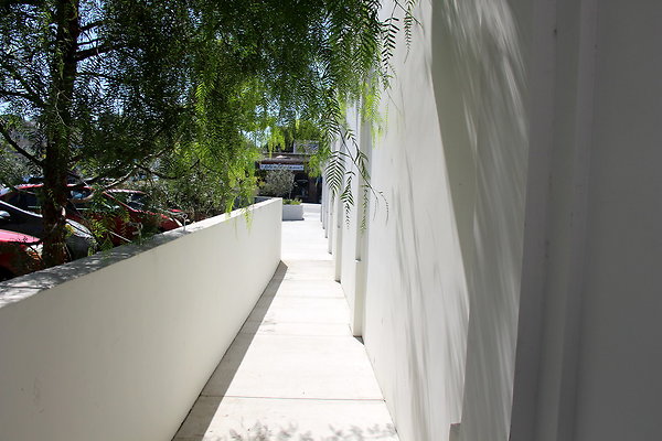 IMG 3518