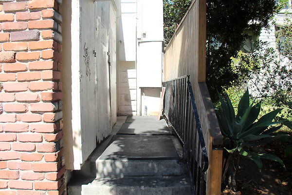 IMG 3482