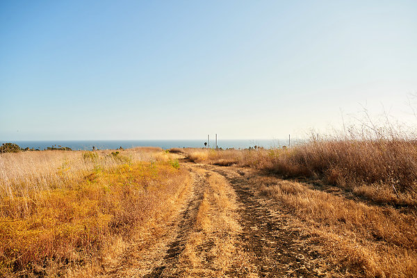 Path to the Beach - 10