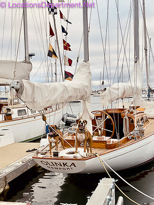 Yacht-4