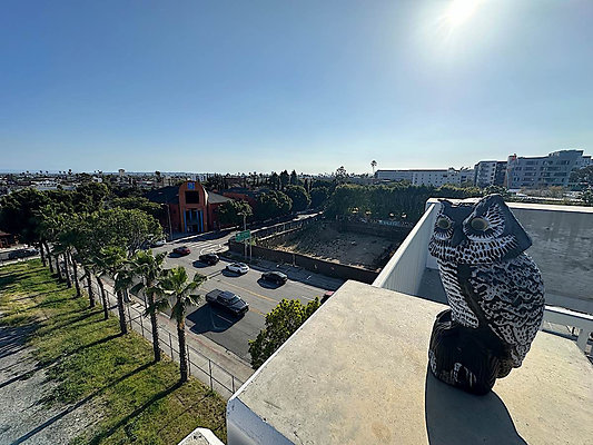 13736 roof 3