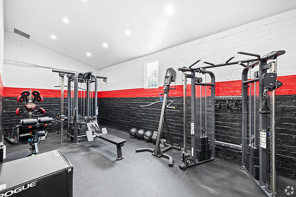 14115 gym 3
