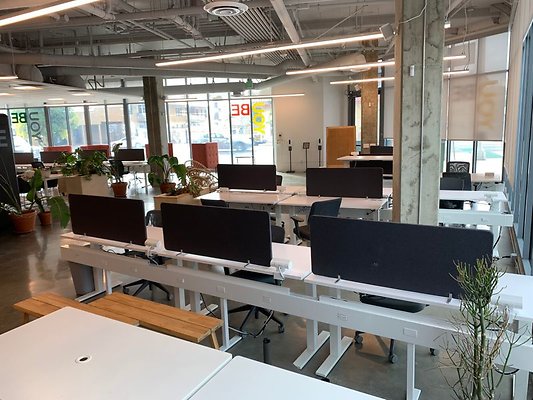 CapEquityAdamsYobiOffice10
