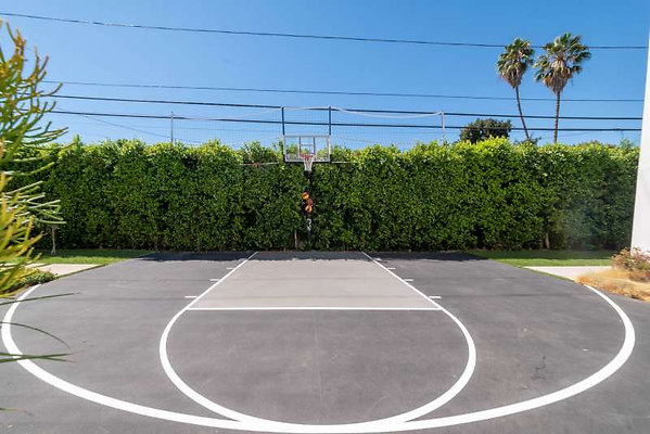 12494 basketball 1