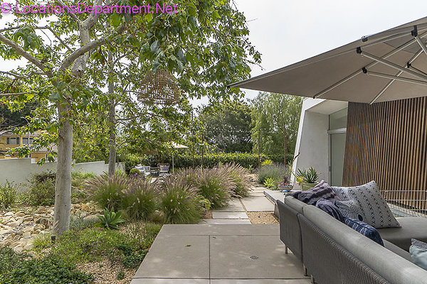 Modern Home 383-14