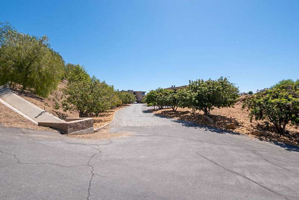 12366 drive 1
