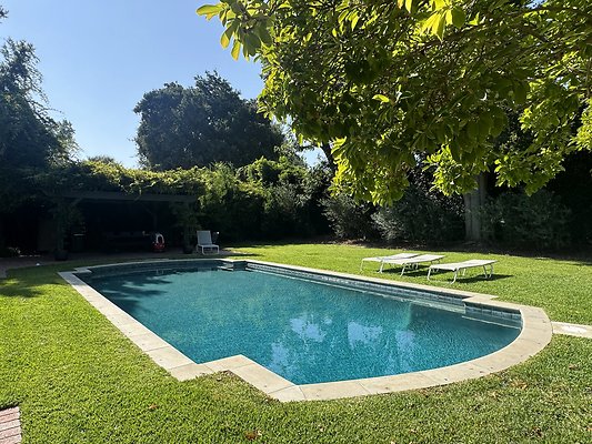 IMG 0977