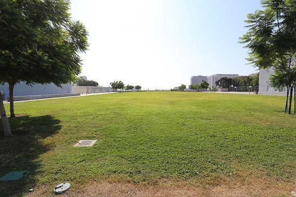 IMG 0597