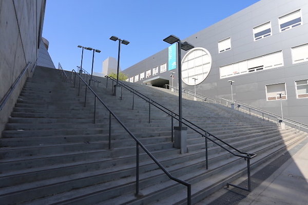 IMG 0538
