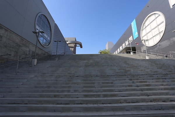 VAPA