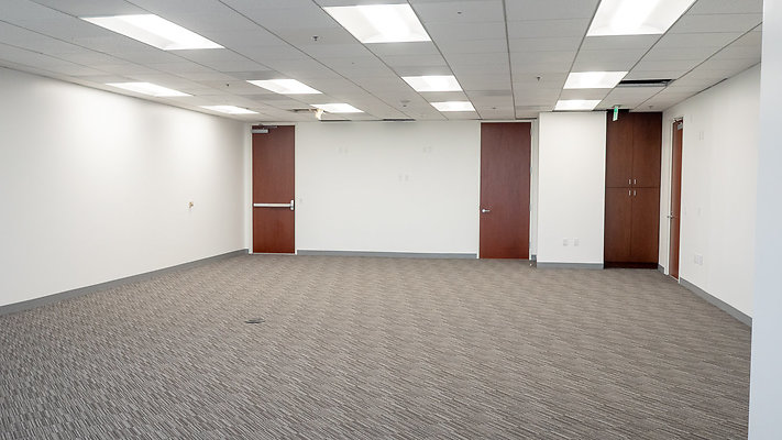 Landmark-II Suite800-20