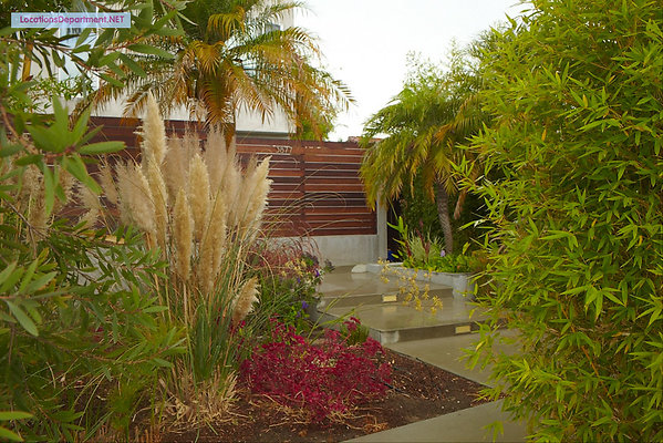 LocationsDepartment.Net  Modern Home 333 006