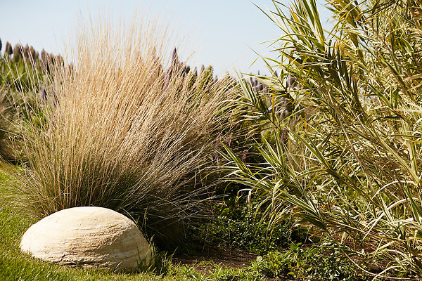 Knoll - 21