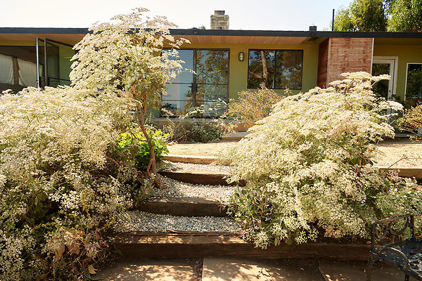 Front Garden - 04