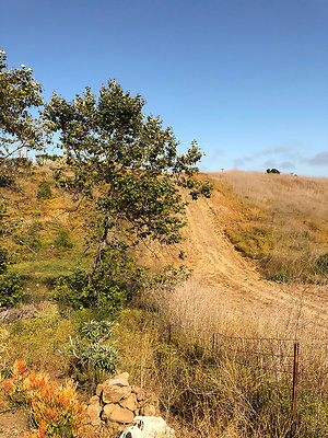Beyond the Knoll - 19