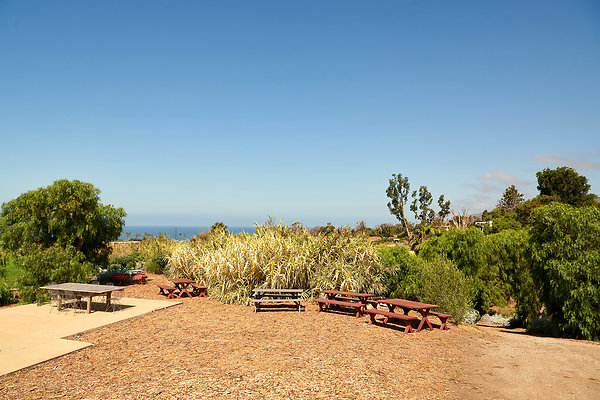 Knoll - 08