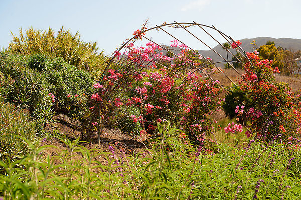 Beyond the Knoll - 10