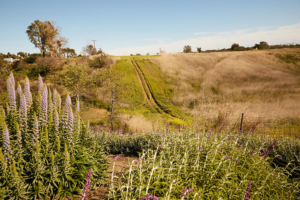 Beyond the Knoll - 21