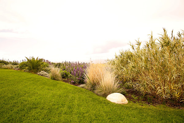 Knoll - 20
