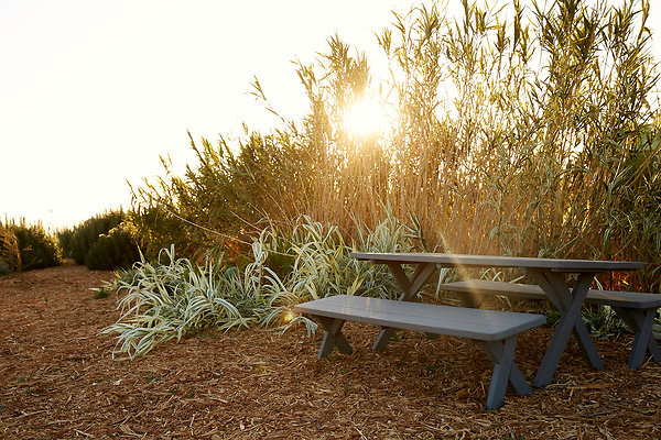 Knoll - 28