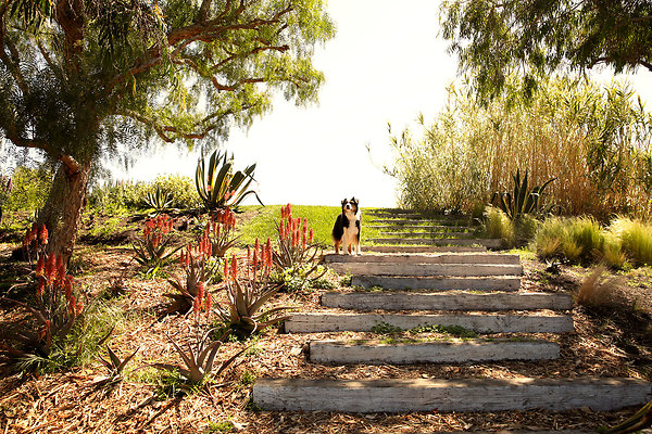 Before the Knoll - 01