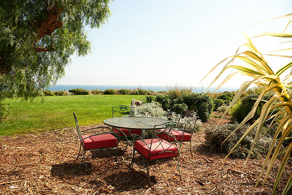 Knoll - 29