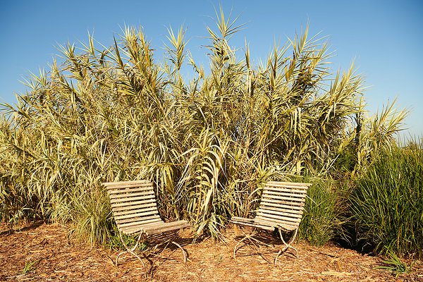 Knoll - 30