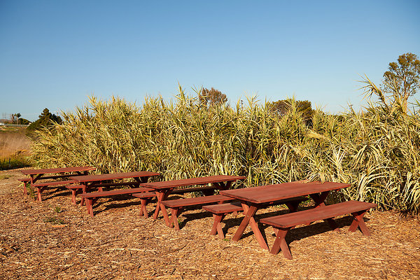Knoll - 31
