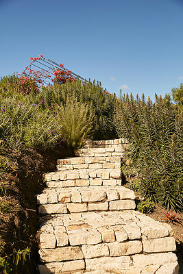 Beyond the Knoll - 16