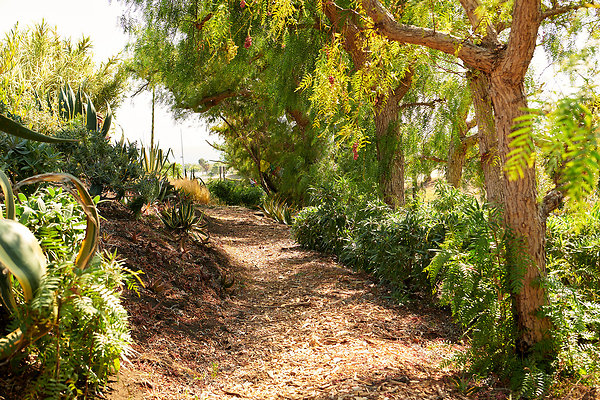 Before the Knoll - 11