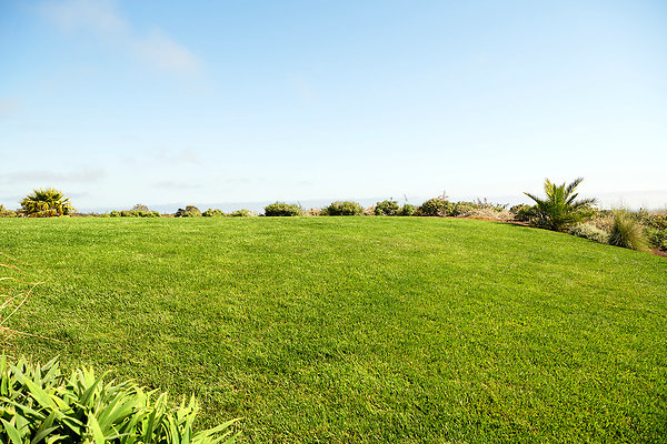 Knoll - 17