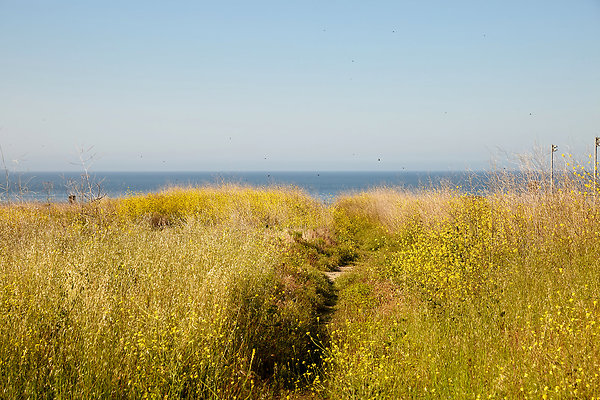 Beach Path ADDL PERMIT