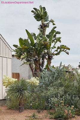 Modern 405-13