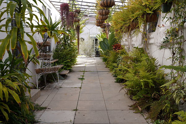 DSC02575