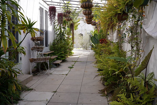 DSC02576