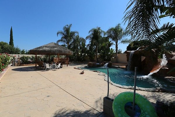CapEquityNorthridgeHomeWithResortStyleYard10