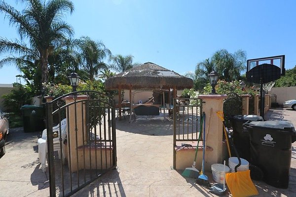 CapEquityNorthridgeHomeWithResortStyleYard31