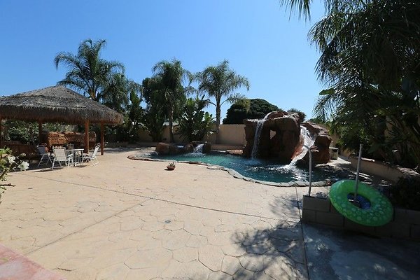 CapEquityNorthridgeHomeWithResortStyleYard9