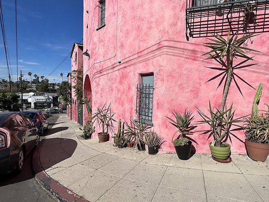 ECHO PARK WALLS