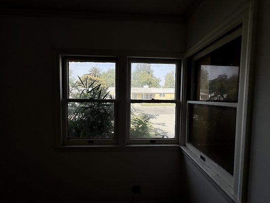 IMG 1243