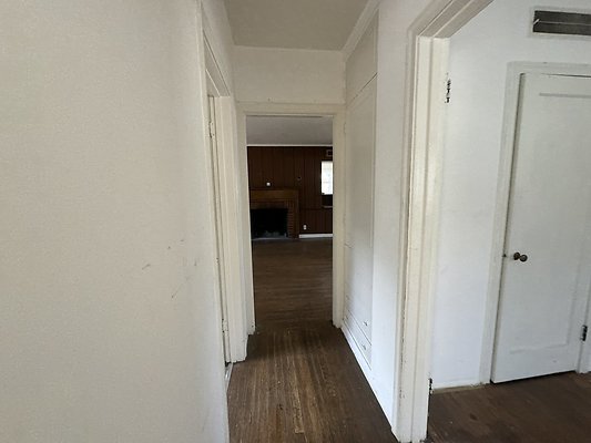 IMG 1250