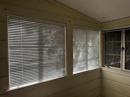 IMG 0968