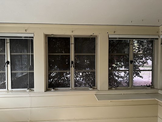 IMG 0967