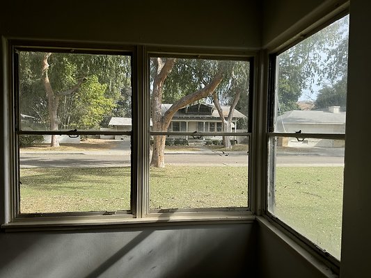 IMG 0961