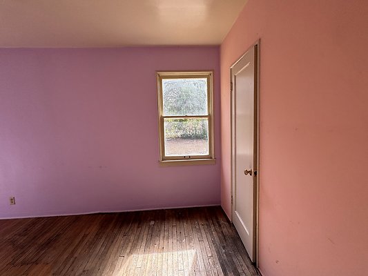 IMG 1110
