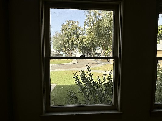 IMG 1084