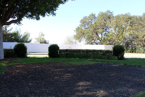 IMG 7696