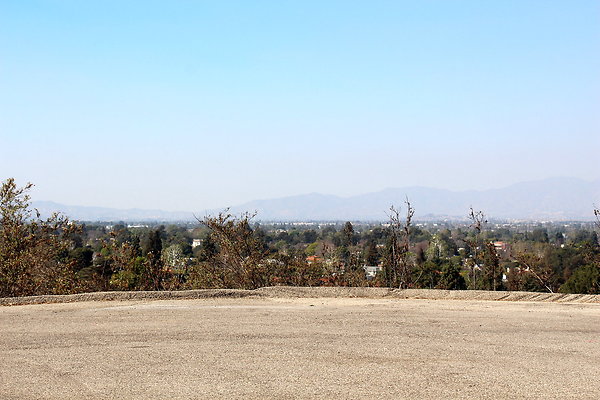 IMG 7709