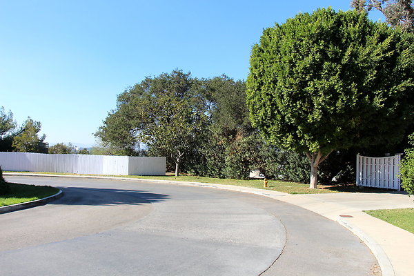 IMG 7720
